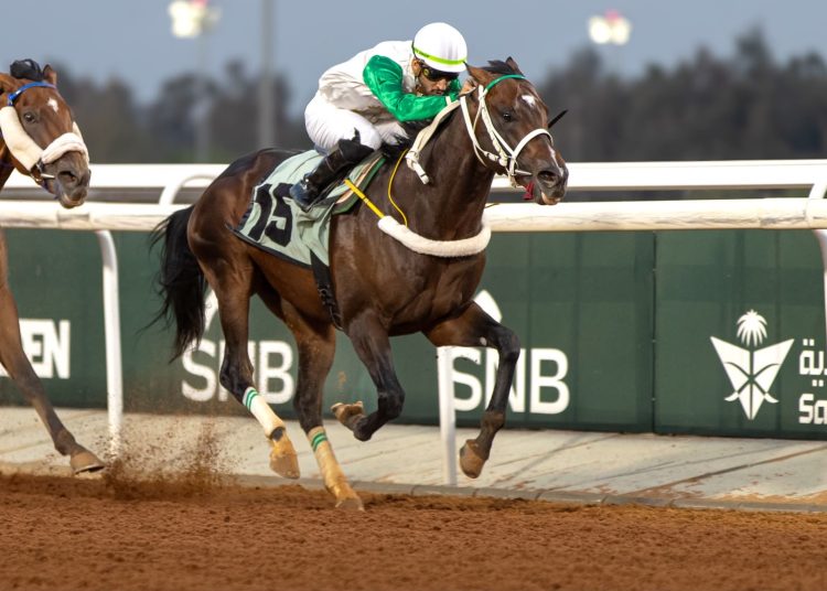 انطلاقة قوية لموسم سباقات الخيل بالطائف.. حضور رسمي وجوائز بـ1.5 مليون ريال