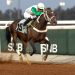 انطلاقة قوية لموسم سباقات الخيل بالطائف.. حضور رسمي وجوائز بـ1.5 مليون ريال