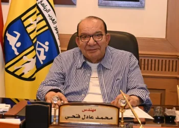 المهندس محمد عادل فتحي