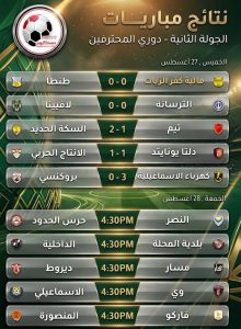 دوري المحترفين