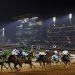 رفع قيمة الجوائز الكبرى.. «تاج الرياض» و«سيف الرياض» أحدث بطولات سباقات الخيل على ميدان المؤسس