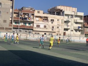 بسيون وكفر الزيات 