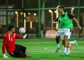 منتخب مصر يخوض مرانه المسائي استعدادًا لمواجهتي أنجولا وجنوب السودان