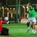 منتخب مصر يخوض مرانه المسائي استعدادًا لمواجهتي أنجولا وجنوب السودان