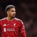 وكيل أراوخو: اللاعب مرتاح في ليفربول والحديث عن البقاء النهائي سابق لأوانه