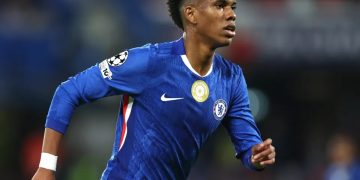 إستيفاو لاعب تشيلسي