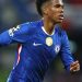 إستيفاو لاعب تشيلسي