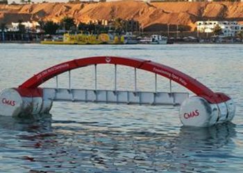 مونديال السباحة بالزعانف