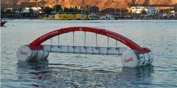 مونديال السباحة بالزعانف