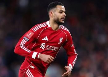 كودي جاكبو لاعب ليفربول