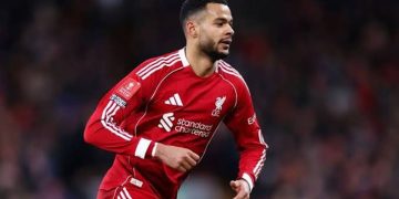 كودي جاكبو لاعب ليفربول