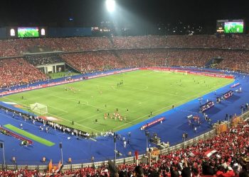 استاد القاهرة
